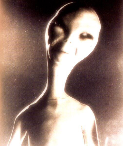 Datei:Alien3-Artwork.jpg
